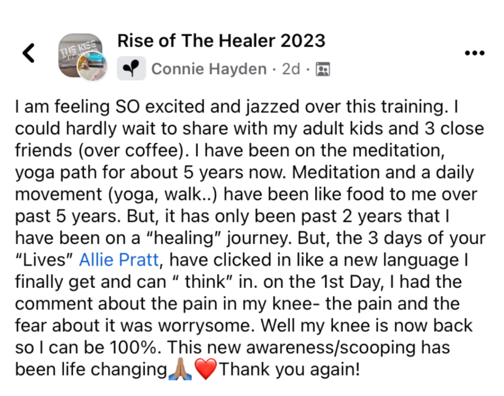 Raving Review of Rise Of The Healer By Connie Hayden